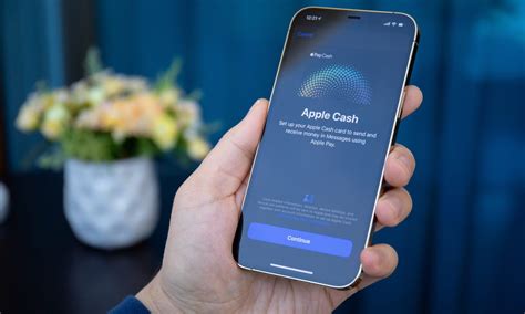 venmo cash users sue apple over|Apples being sued by Venmo and Cash App users。